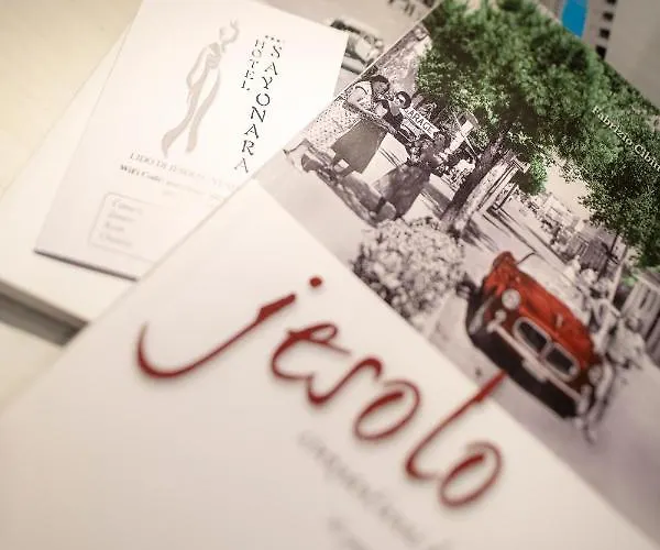 사요나라 호텔 4*